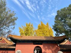 -戏马台景区