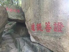 -法雨寺餐厅