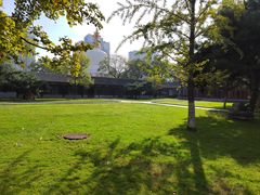 -护国法轮寺