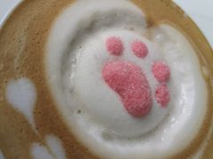 猫爪咖啡-喵屿·大理花园猫咖