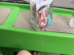 -西双版纳傣族园