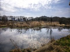 -西湖风景区-江洋畈生态公园