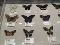 -四川大学博物馆
