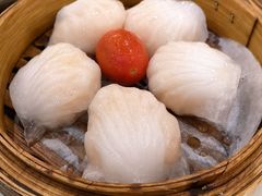 -益健美食大广场(北岭店)
