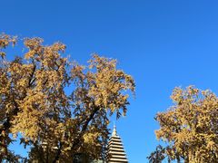 -北京石刻艺术博物馆(五塔寺)