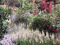 -广州市白云山风景名胜区