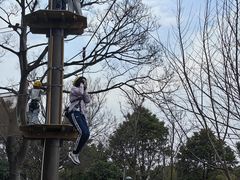 -芦仙山景区-飞越丛林探险乐园