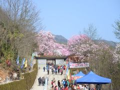 -九皇山景区