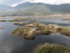 -腾冲北海湿地