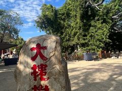 -大槐树寻根祭祖园