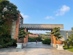 -上海海湾国家森林公园