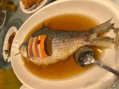 清蒸鲥鱼-金米箩大酒店(五角场店)