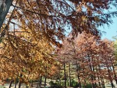 -长广溪湿地公园