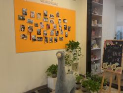 -佳宝全套房精品月子会所(大华店)