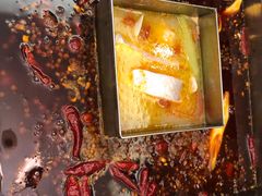 -红鼎坊·老成都火锅(新南门店)