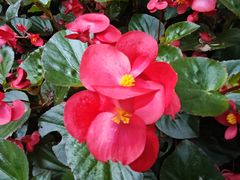 -四川大学(华西校区)