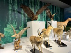 -中国湿地博物馆