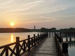 -南湖湿地公园