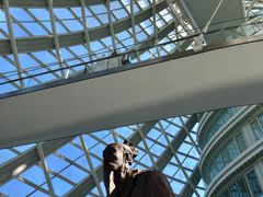 -凤凰中心