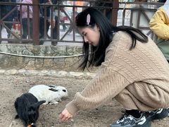 -灵玲国际马戏城