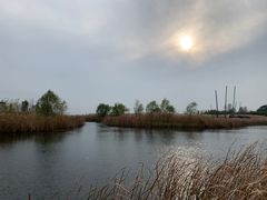 -苏州太湖湖滨国家湿地公园