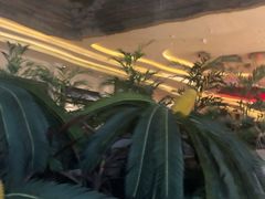 -钜记手信(新马路旗舰店)