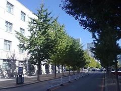 -东北大学(南湖校区)