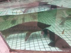 -天怡·鱼工厂(梅溪湖店)