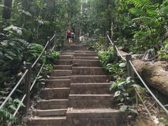 -武吉知马自然保护区