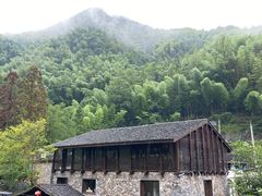 -MOJ coffee(瓯海泽雅水碓坑店)