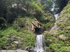 -石台牯牛降景区