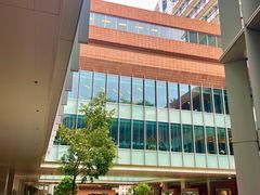 -香港大学