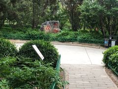 -太阳宫公园