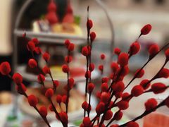 -利顺德大饭店·维多利亚花园