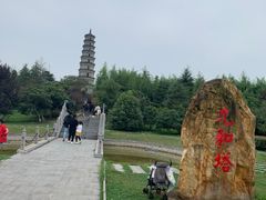 -祥源·阜阳生态乐园