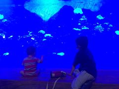 -华夏文旅海洋公园