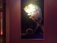 -纯K(打浦桥店)