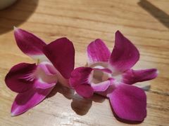 -额尔敦传统涮火锅·冰煮羊(铁东店)