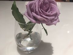 -伊斯坦布尔土耳其清真咖啡餐厅