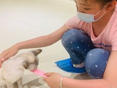 -藏猫猫咖啡主题馆(中央大道店)