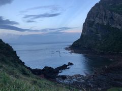 -城山辣炒黑猪肉