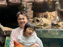 -长鹿旅游休博园
