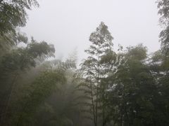 -仙霞关景区