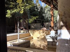 -春晖园度假酒店温泉