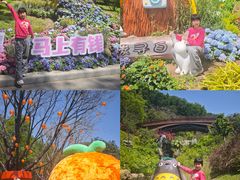 -云溪植物园
