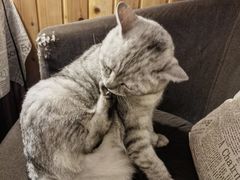 -隅cafe(傅厚岗店)