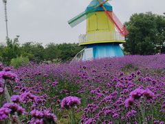 -北京国际鲜花港