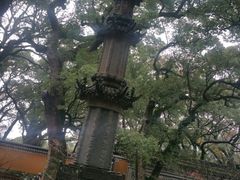 -普陀山风景名胜区-法雨禅寺