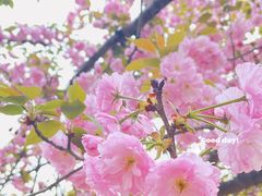 -灵福缘私房菜·农家菜(拈花湾·灵山大佛必推店)