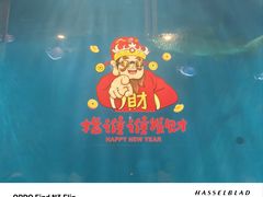 -华夏文旅海洋公园